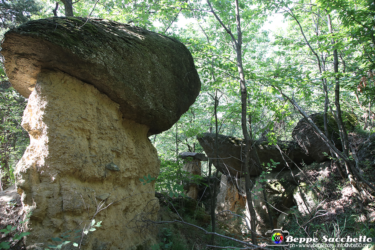 VBS_8972 - I Ciciu del Villar. Villar San Costanzo. Val Maira (Cuneo).jpg